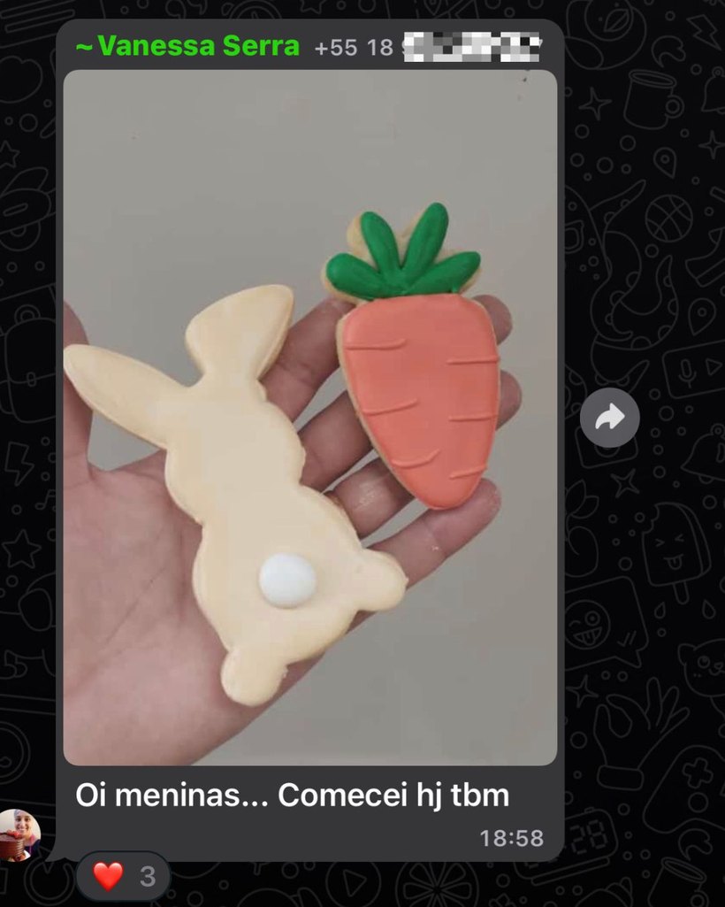 Mensagem de aluna mostrando o coelho e a cenoura que decorou ao começar o curso