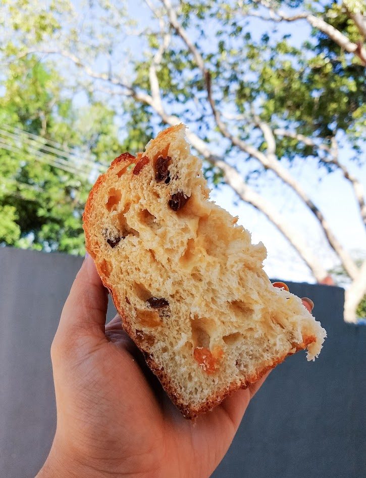 Pedaço de panetone tradicional de frutas, com o miolo aparecendo
